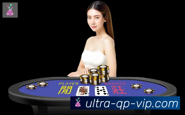 用户互动社区